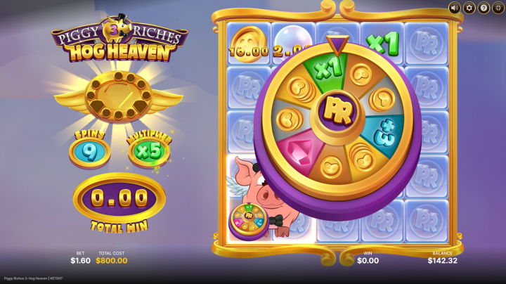 Piggy Riches 3: Hog Heaven 14