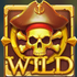 Wild Buccaneers Triple Treasure 3