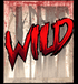 The Wildwood Curse 3