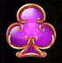 Wild Wild Riches Returns 11