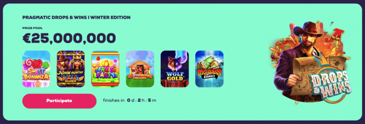 Wild Fortune Casino 11