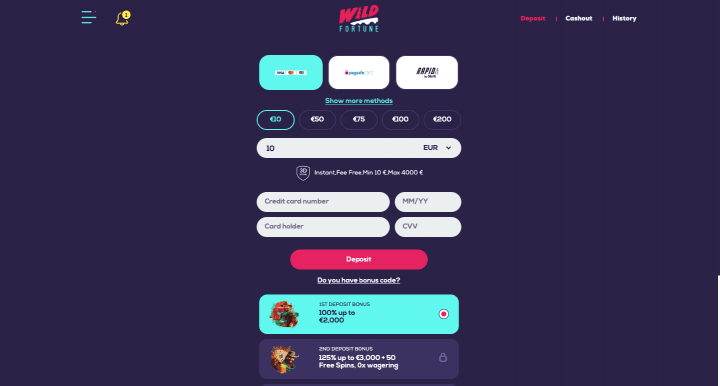 Wild Fortune Casino 13