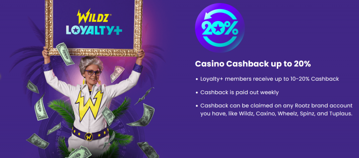 Wildz Casino 8