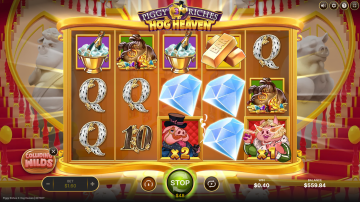 Piggy Riches 3: Hog Heaven 13